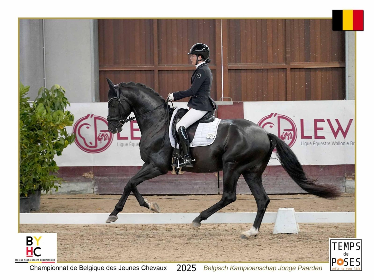 Corsendonk Dressage Cup 2025