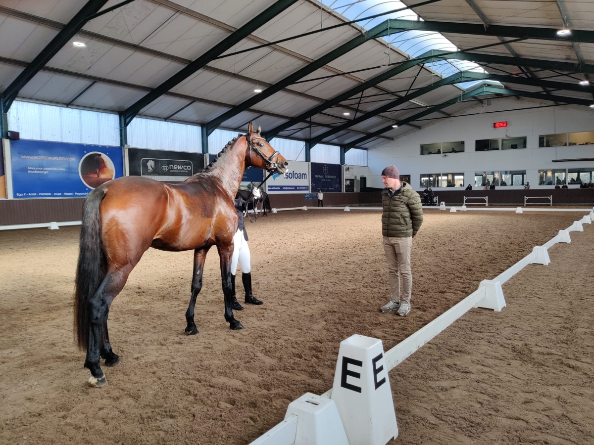 Een prachtige 16e editie van de Corsendonk Dressage Cup 2025